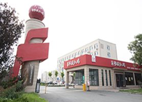 公司实力